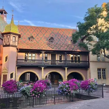 شقة L'ourson كولمار