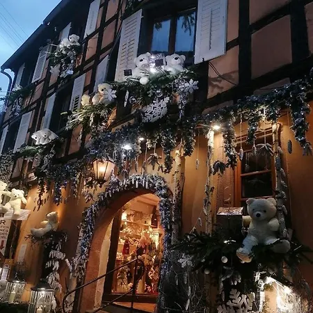 L'ourson Apartment Colmar