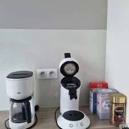 公寓 L'ourson 科尔马