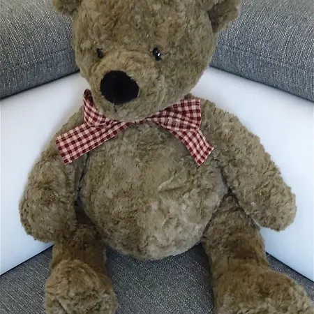 L'ourson كولمار