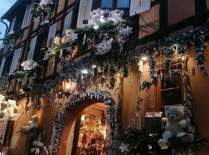 L'ourson Apartment Colmar